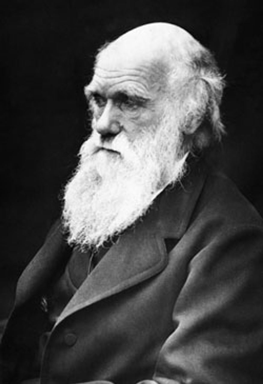 Darwin